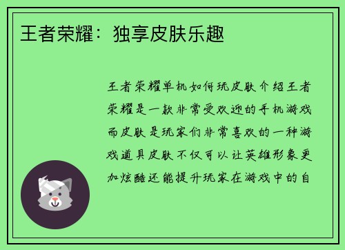 王者荣耀：独享皮肤乐趣
